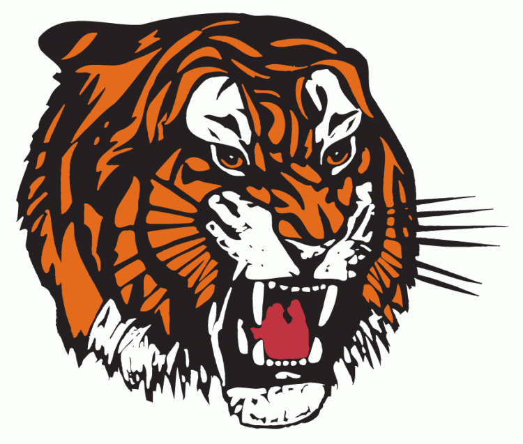 medicine hat tigers 2003-pres primary logo iron on heat transfer